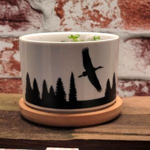 Crane in Flight Succulent Pot